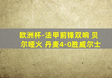 欧洲杯-法甲前锋双响 贝尔哑火 丹麦4-0胜威尔士